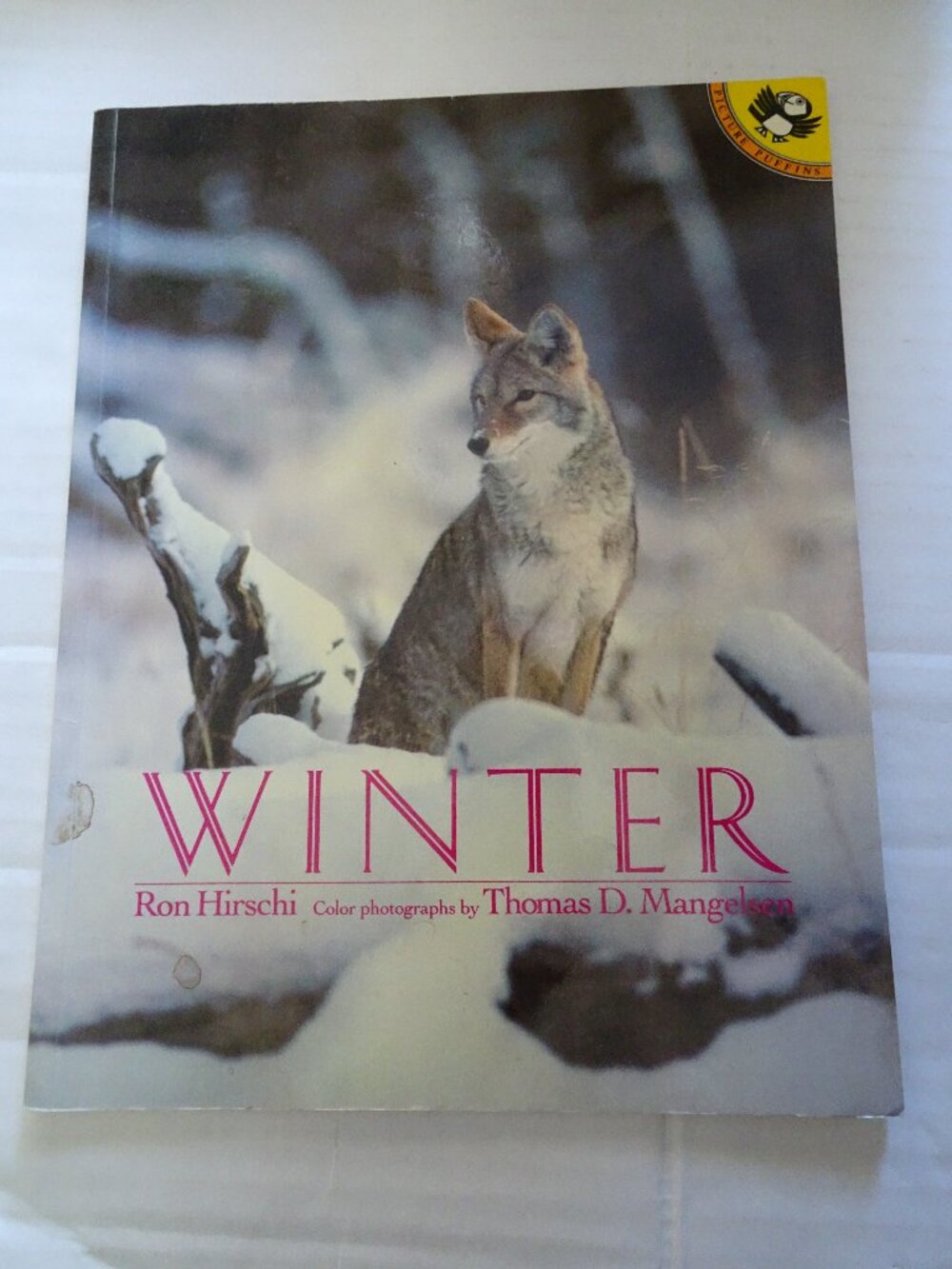Winter by Ron Hirschi - 1996 - Paperback - Preowned - For Young Readers